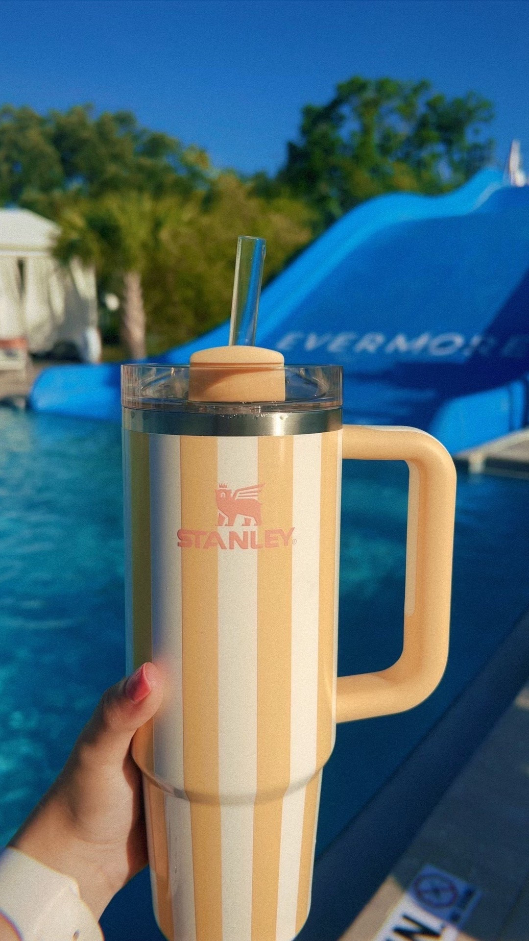 Stanley Oasis Collection Butter Cabana Gloss 30 oz. Tumbler 

📍Evermore Orlando Resort Slide Pool

#LTKSwim #LTKFindsUnder50 #LTKTravel