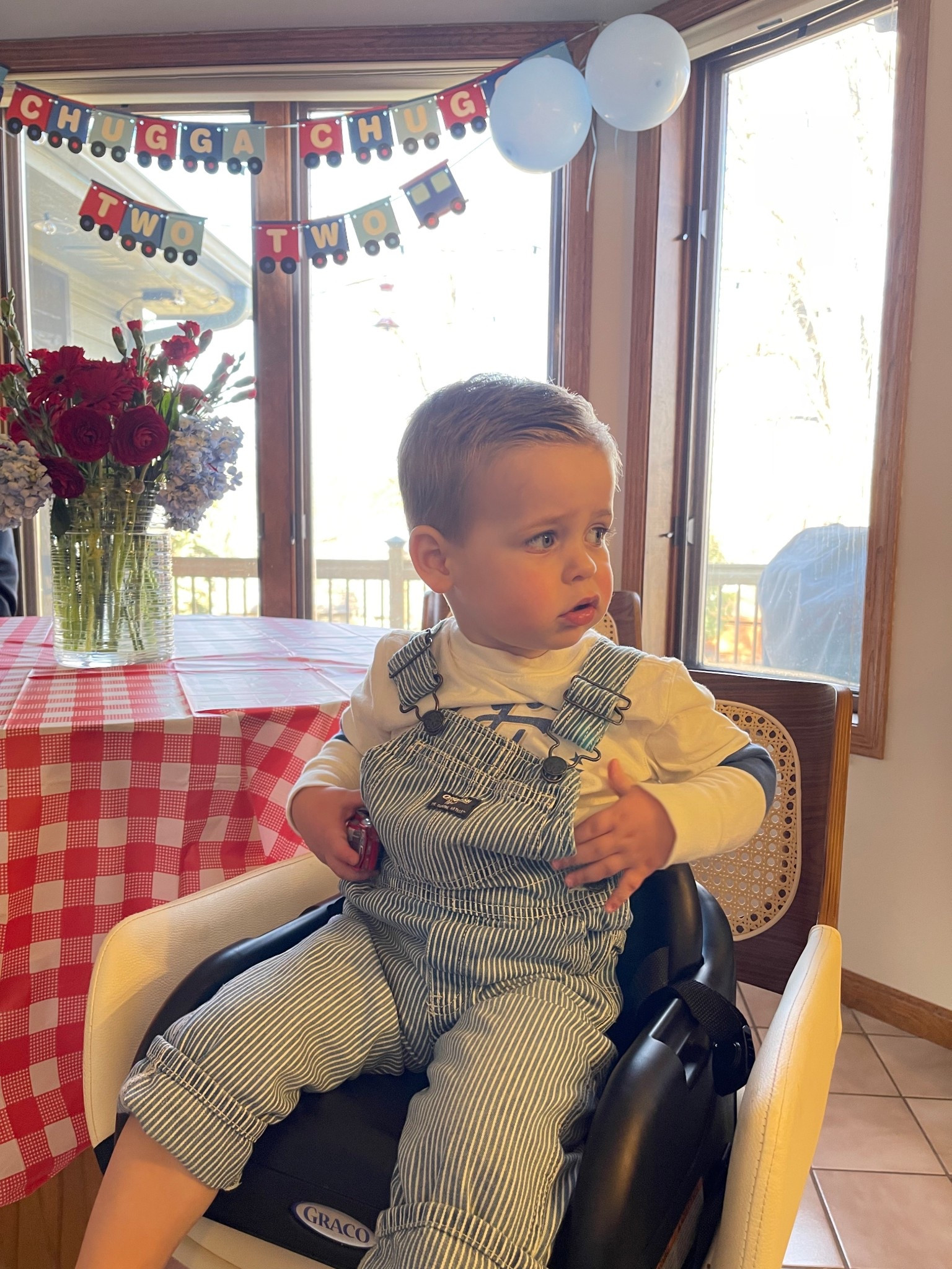 Choo choo Cash is two! 🚂🎈🩵❤️ Loved this red gingham print for party supplies and the red & light blue color scheme. We did red velvet cupcakes and red fruit kabobs too! 

#LTKParties #LTKKids