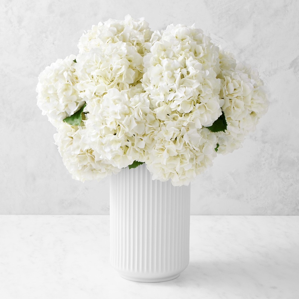 Jeff Leatham x Williams Sonoma Real Touch Faux White Hydrangea Stems, Set of 12 | Williams-Sonoma