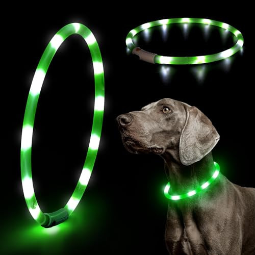 LED Dog Collar - HIGO Light Up Dog Collars Glow in The Dark, USB Rechargeable LED Dog Necklace Light for Your Dogs Walking at Night (Green-Silicone) | Amazon (US)