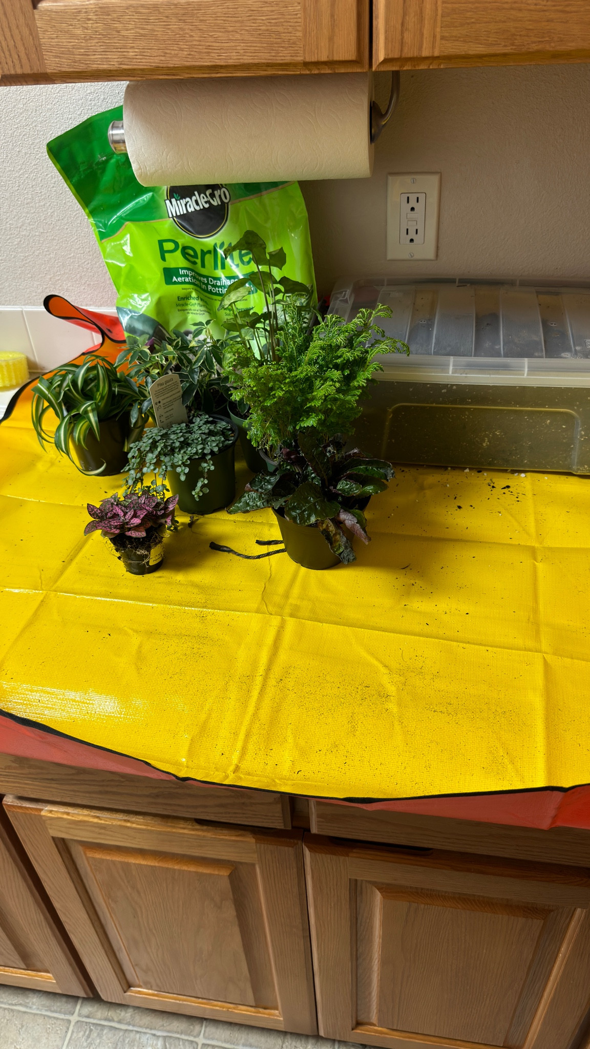 Repotting mat great for all those plant lovers wanting to keep things cleaner and easier. #gardening #plants #repotting 