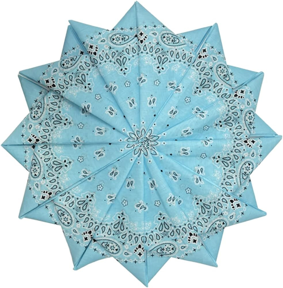 6 Pack 12 Pack Bandanas 2 Sides Printed 22inch Unisex Cowboy Kerchiefs | Amazon (US)