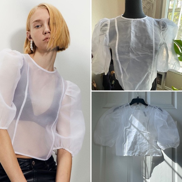 H&M Puff-Sleeved Sheer Organza Top | Poshmark