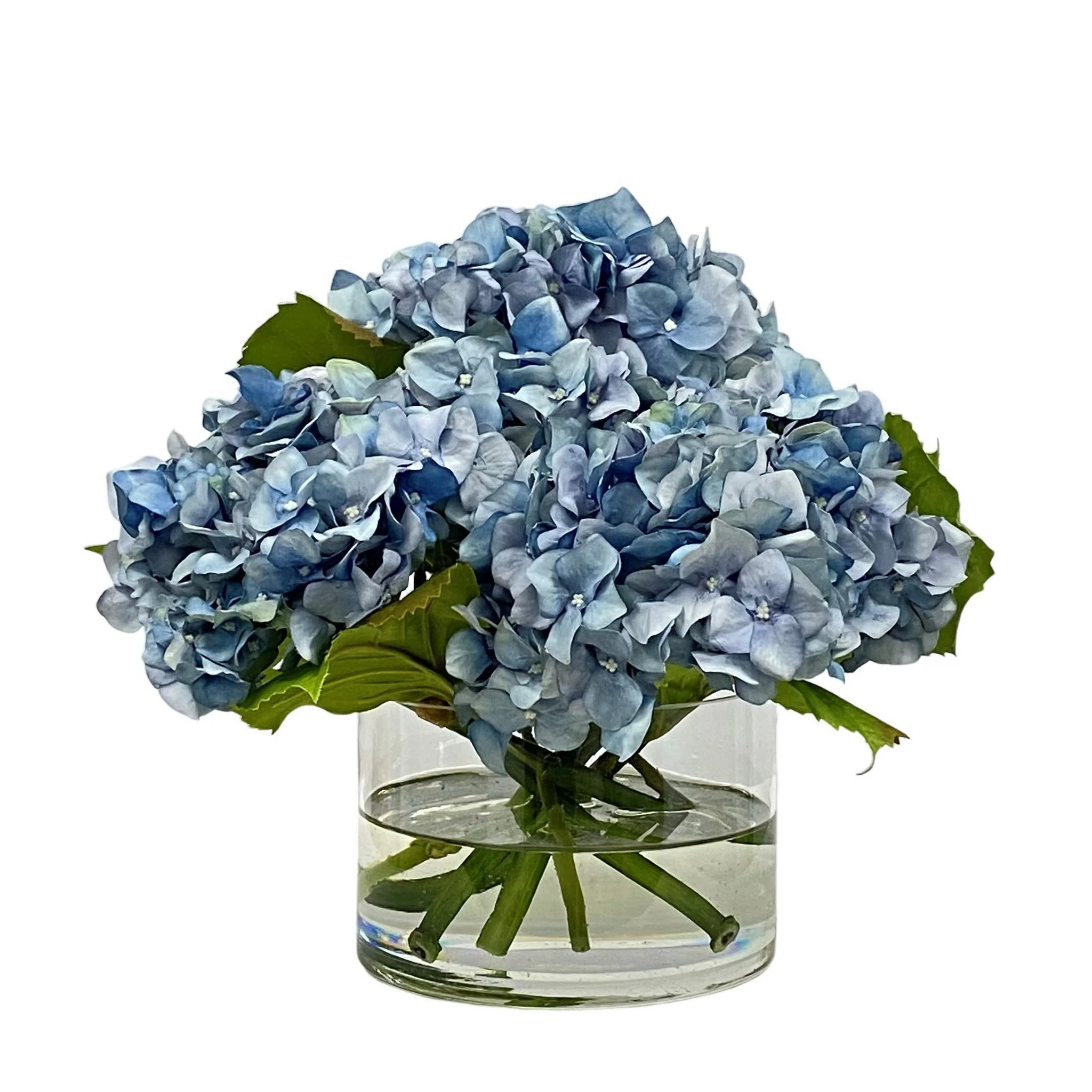 HYDRANGEA IN CYLINDER | Perigold