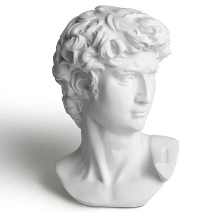 Garwor 6” Classic Greek David Head Resin Sculptures and Statues Home Décor Office Décor Michelangelo | Walmart (US)