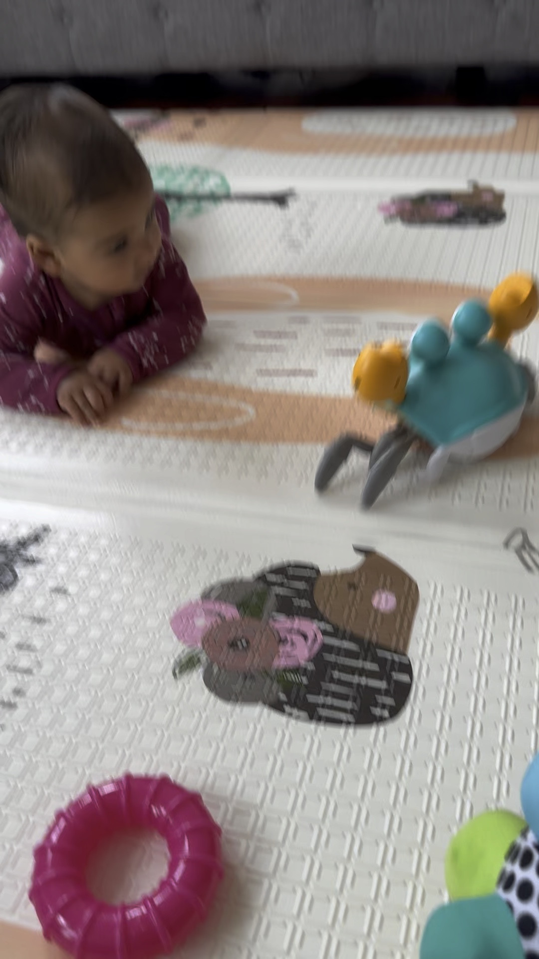 Who needs a babysitter when this you can entertain him!? Crab toy, toys for babies, baby toy, fun, toy, unique, toy, baby gift toys for baby boy toys for baby girl gender, neutral toys 

#LTKkids #LTKbaby #LTKfamily