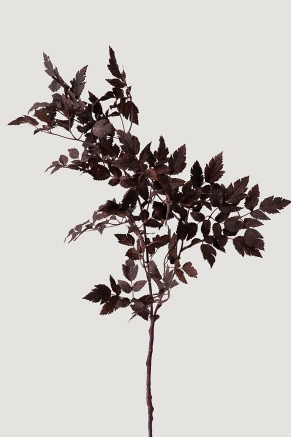 Some of the best fall stems from Afloral and currently have a 20% off coupon on Amazon!!

#LTKHome #LTKSeasonal