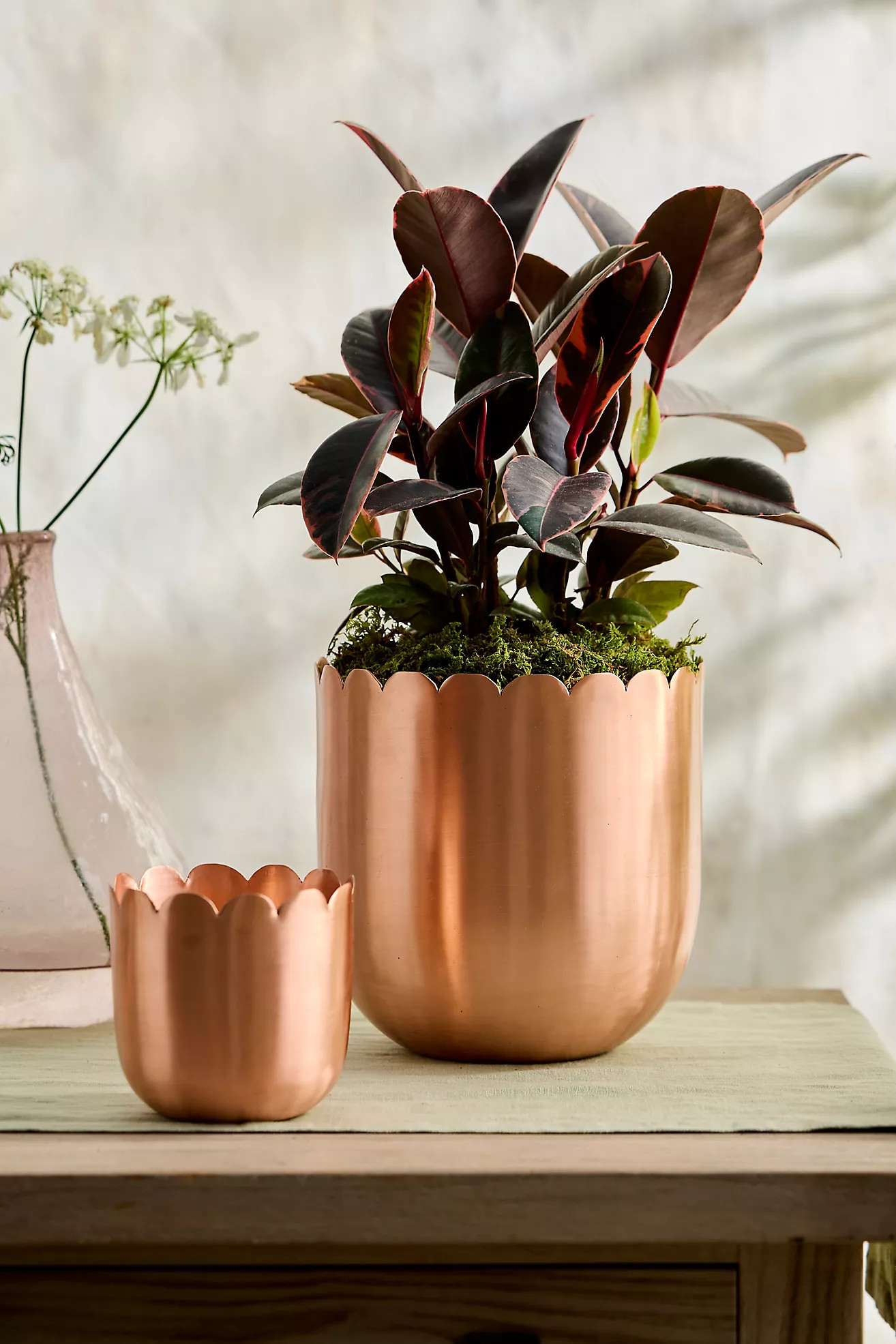 Scallop Edge Polished Copper Planter | Terrain