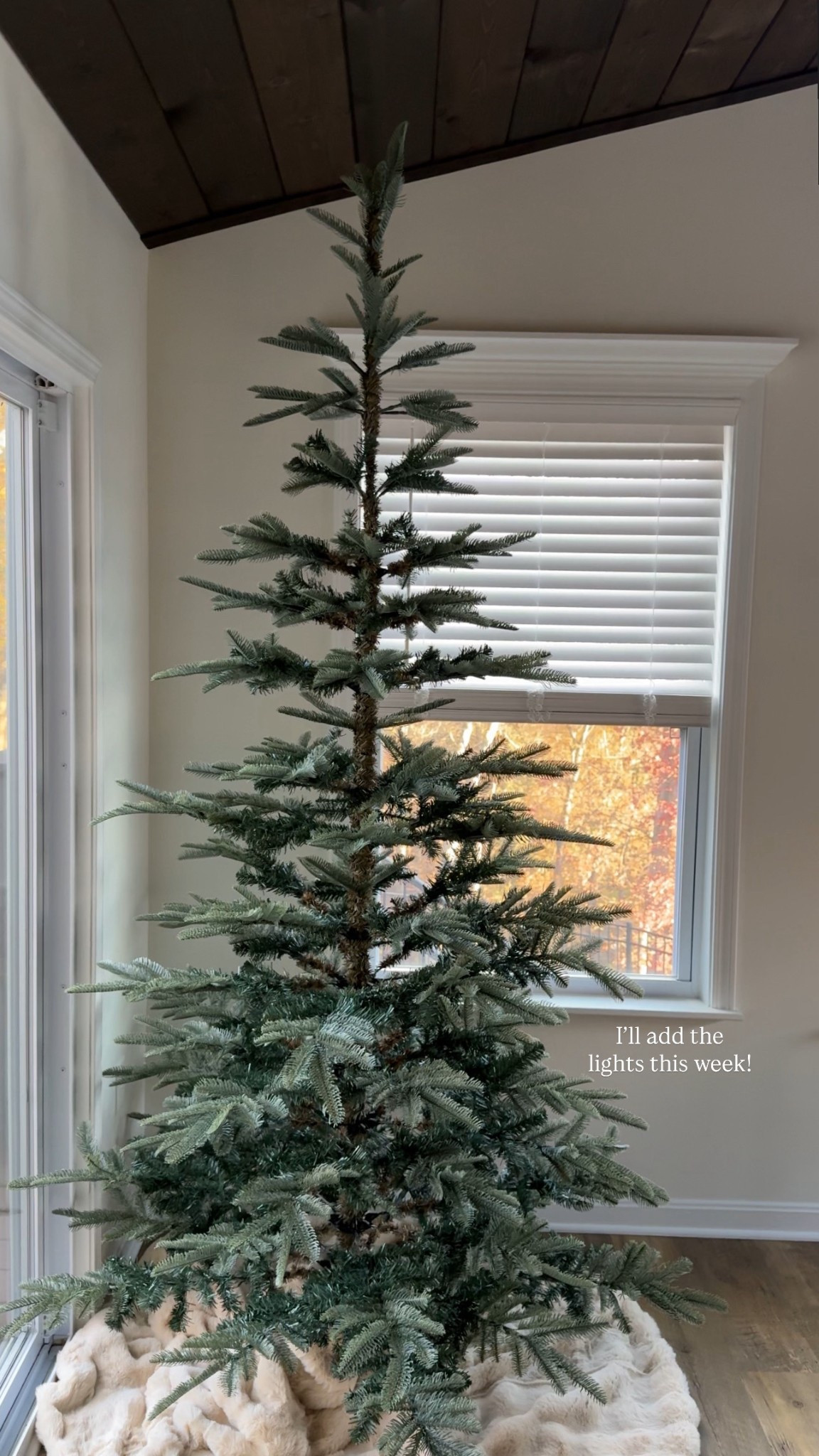 Our tree for this year ❤️

#LTKHome #LTKHoliday #LTKSaleAlert