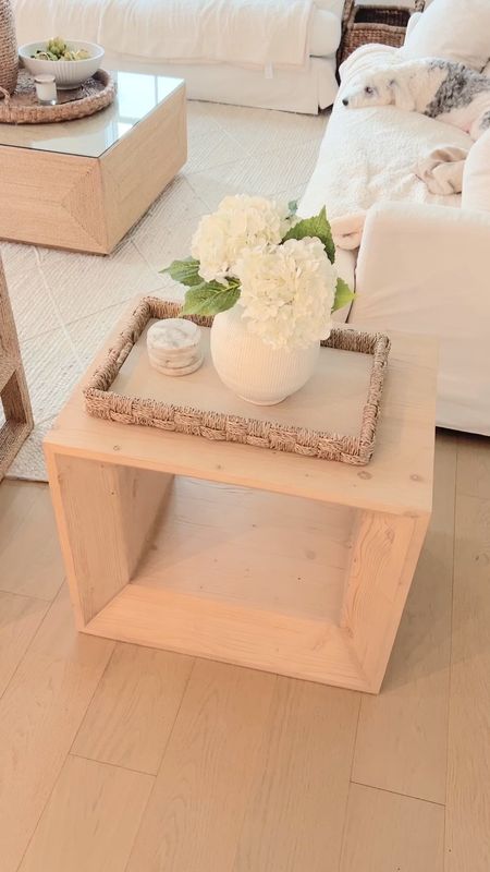Love these faux hydrangeas in our living room!  The side table has a drawer so it could be used as a nightstand.  

#LTKstyletip #LTKhome #LTKfindsunder50