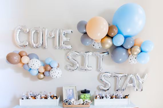 Come Sit Stay Letter Balloons - Puppy Pawty Balloons - Puppy Party Decor - Dog Party Banner - Pup... | Etsy (US)