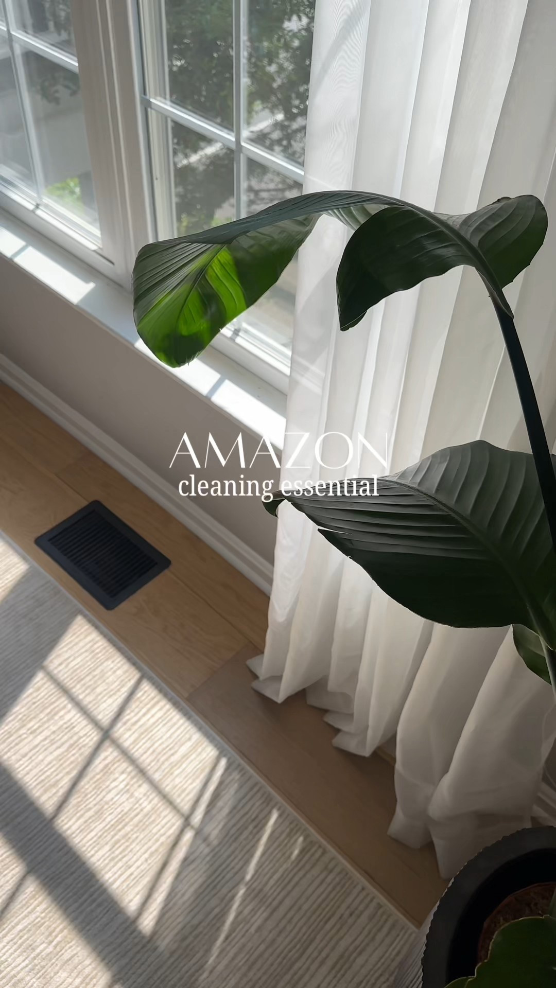 A home cleaning essential! These bug traps are chemical free- that means child & pet safe!

#LTKHome #LTKFindsUnder50 #LTKSaleAlert