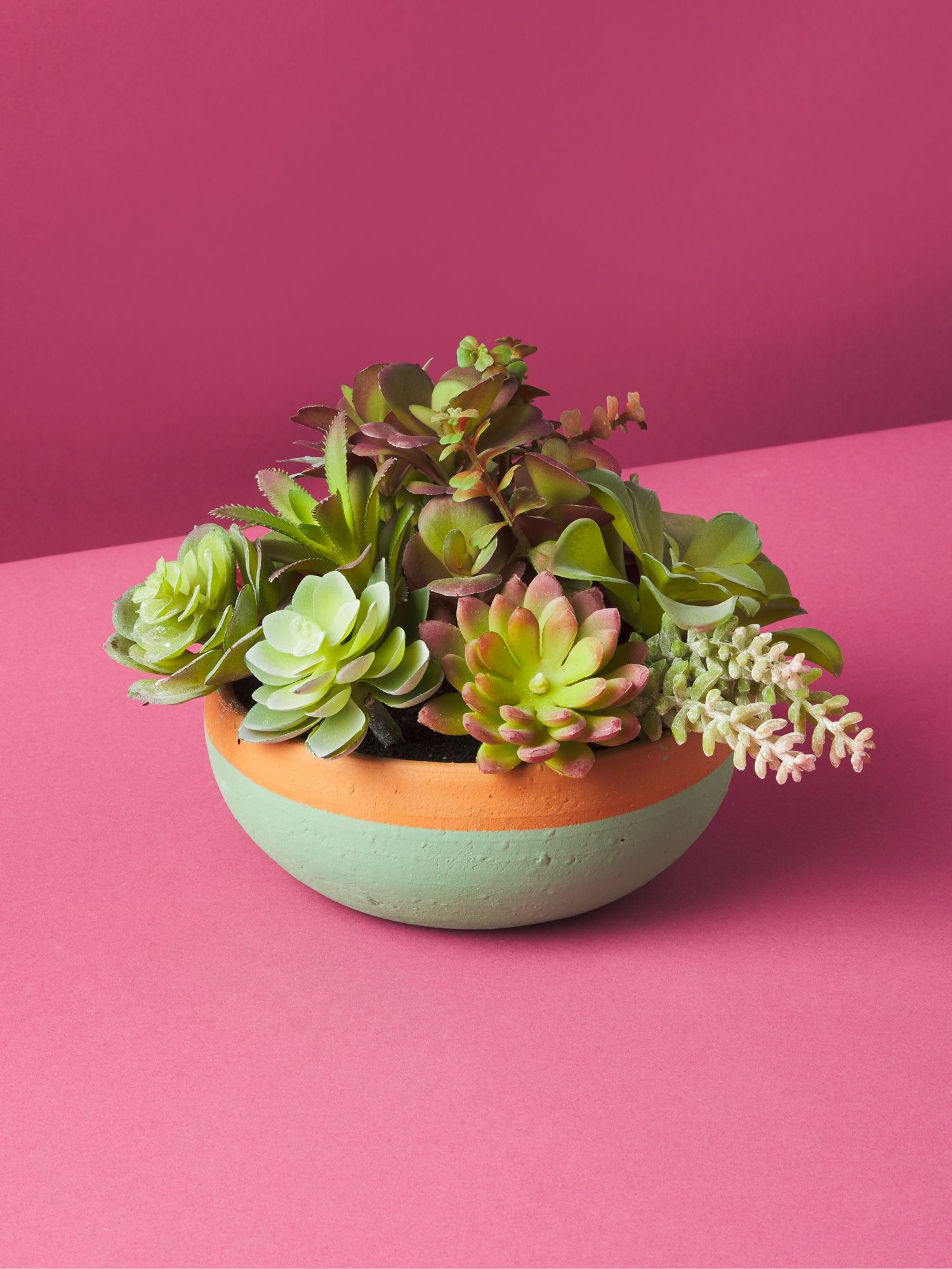 8in Artificial Succulent In Pot | Florals | HomeGoods | HomeGoods