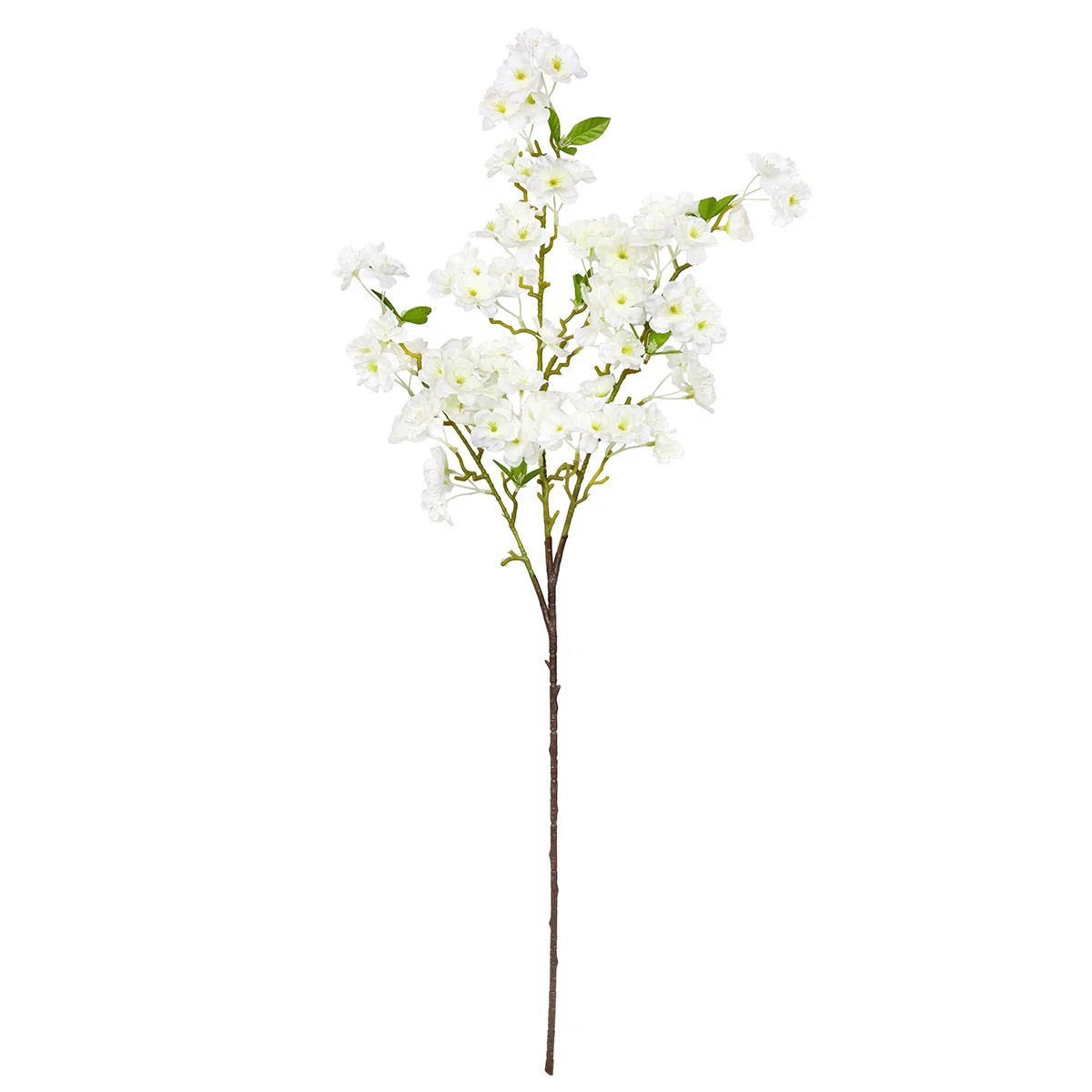 Primrue Coso Cherry Blossom Stem & Reviews | Wayfair | Wayfair North America