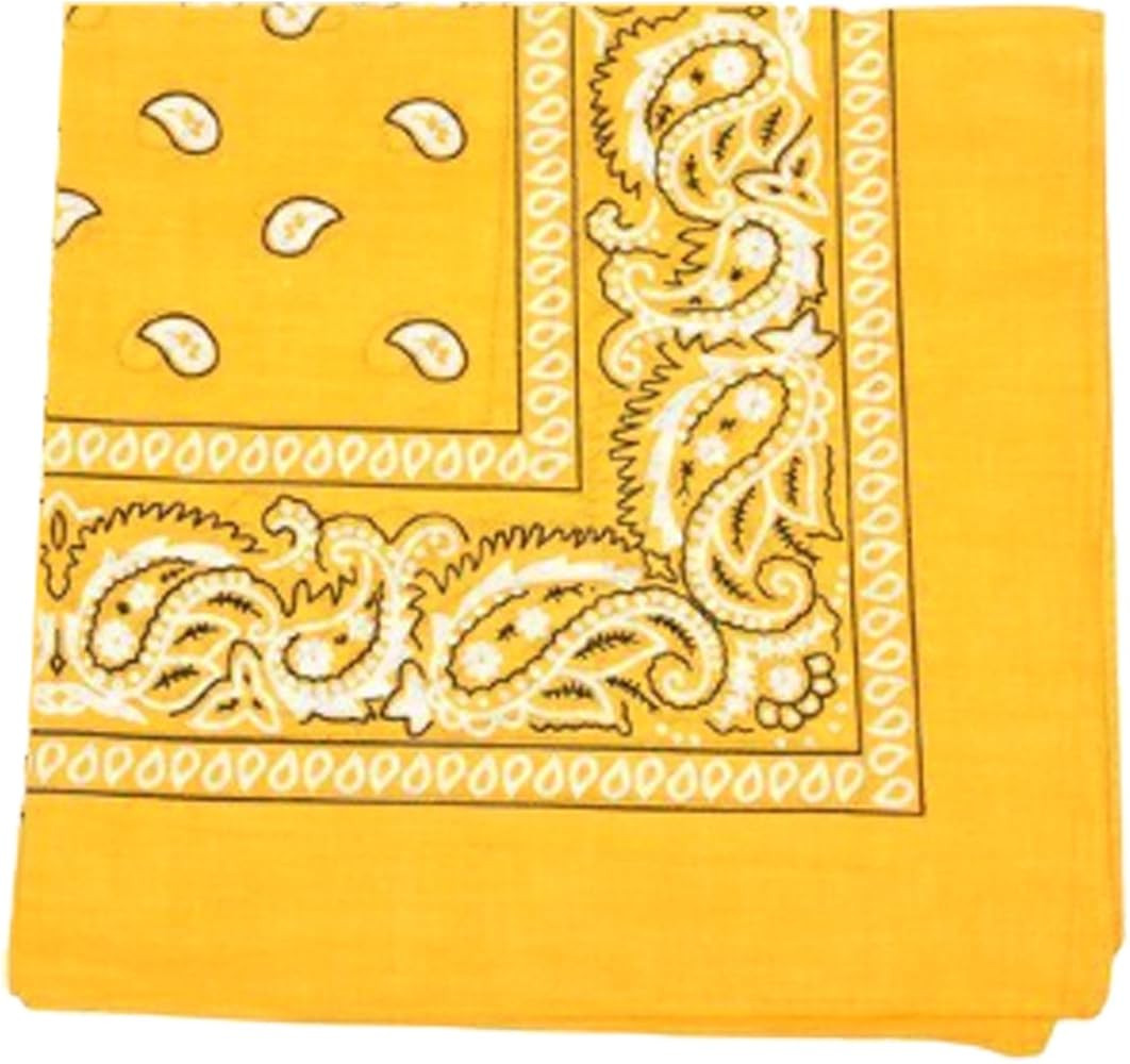 Novelty Bandanas Paisley Cotton Bandanas Single Pack | Amazon (US)