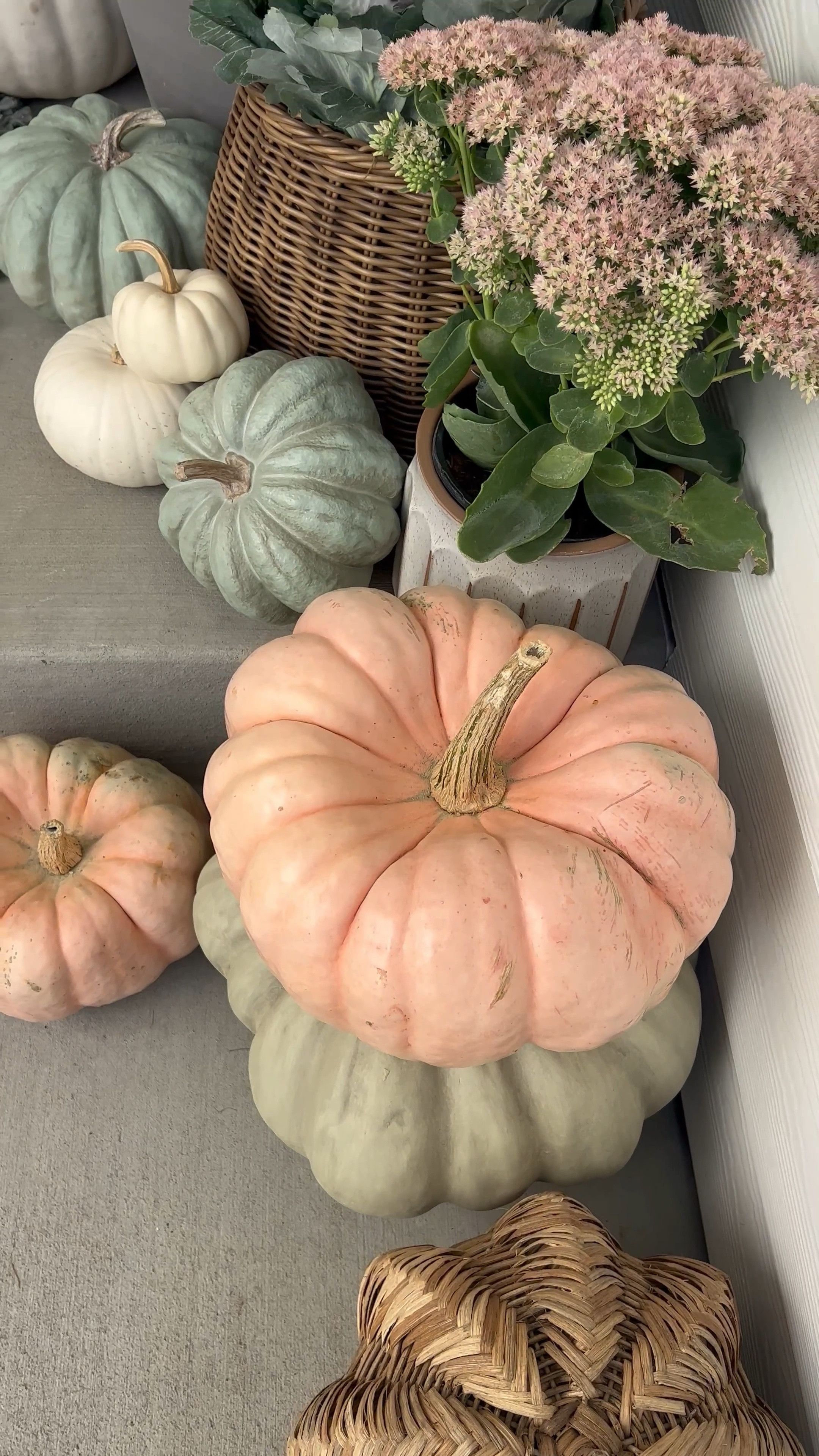 My fall front porch front last year is going to be hard to beat this year! I grabbed the most stunning muted pastel pumpkins from Kirkland’s to display outside last year, and they’re back! 25% off right now too! 

#LTKStyleTip #LTKSaleAlert #LTKSeasonal