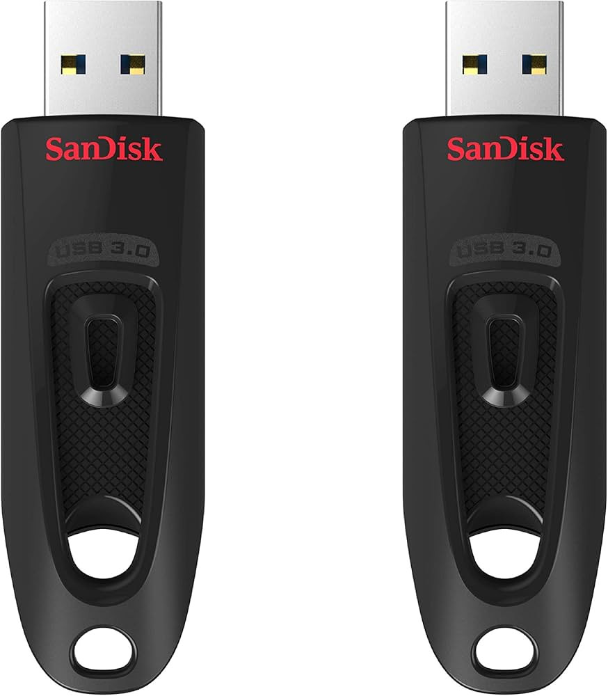 SanDisk 64GB 2-Pack Ultra USB 3.0 Flash Drive (2x64GB) - SDCZ48-064G-GAM462, Black | Amazon (US)