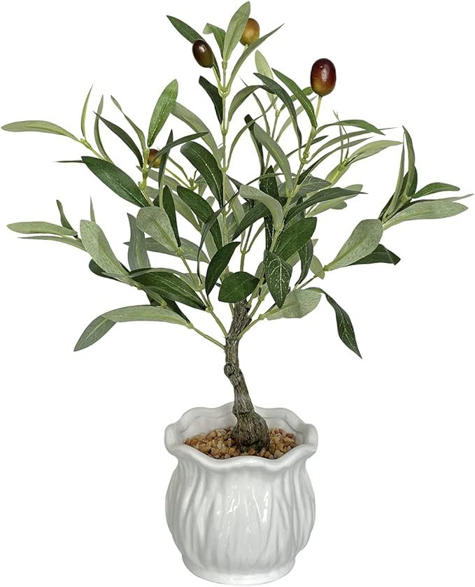 BESAMENATURE Artificial Olive Tree, Desktop Faux Fruit Tree for Home Office Decoration, 14" Tall | Amazon (US)