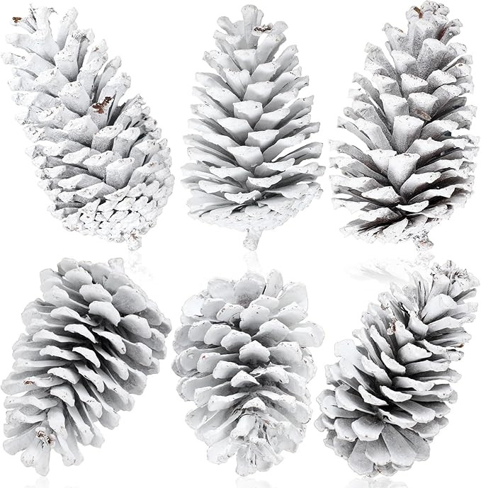 Tondiamo 6 Pcs Christmas Pine Cones for Crafts Large White Unscented Natural Pinecones Ornaments ... | Amazon (US)