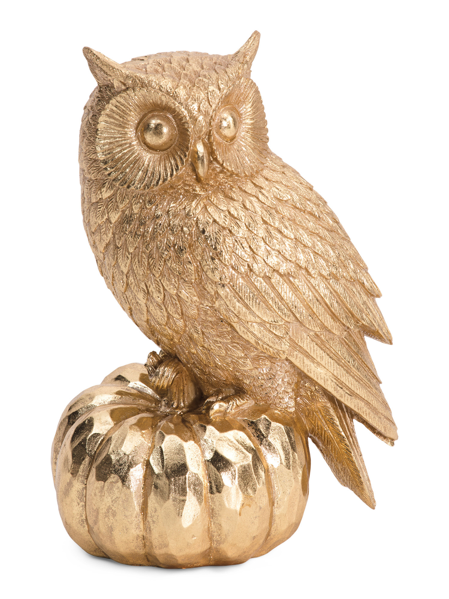 10.1in Owl On Pumpkin | Pillows & Decor | Marshalls | Marshalls