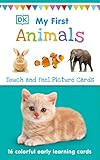 My First Touch and Feel Picture Cards: Animals (My First Board Books) | Amazon (US)