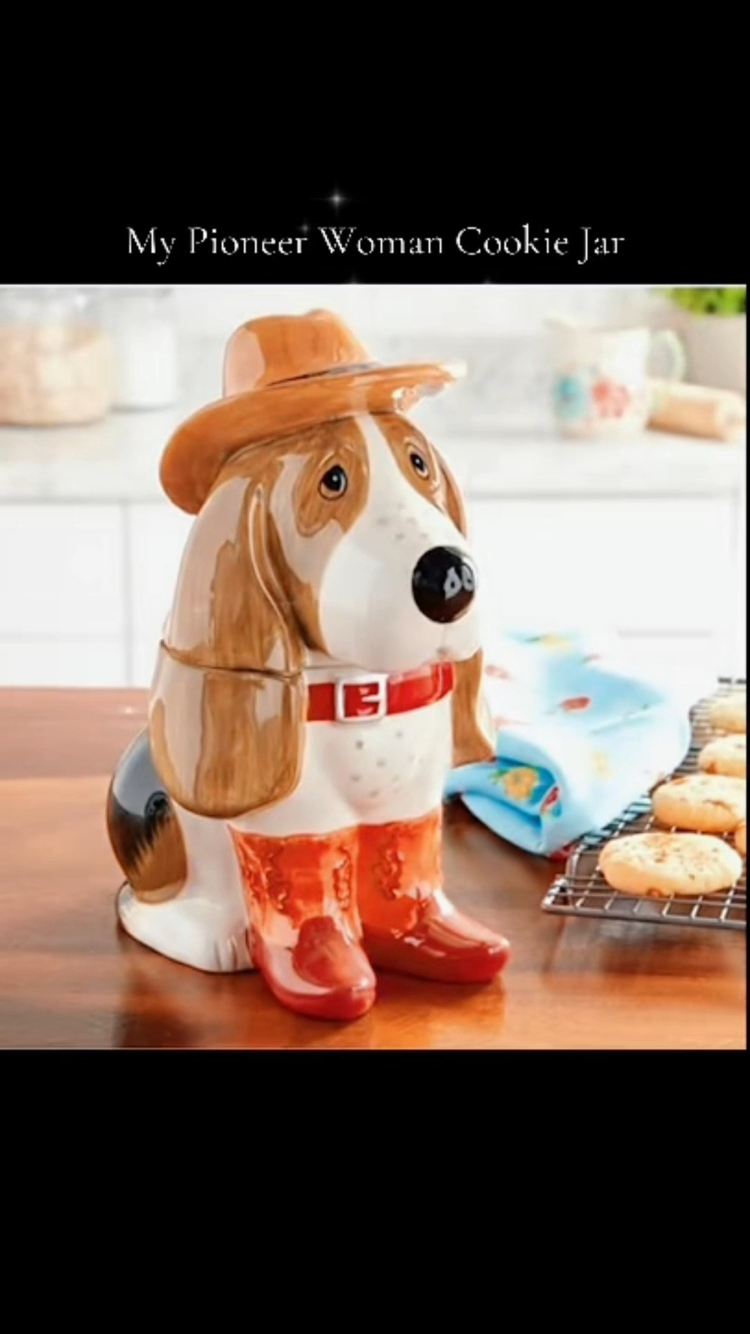 Cowboy Charlie from the My Pioneer Woman Collection adds adorable country charm to your kitchen. He features a fitted lid to help your cookies and snacks stay fresh. 

#cookiejar #farmhousekitchen #mypioneerwoman