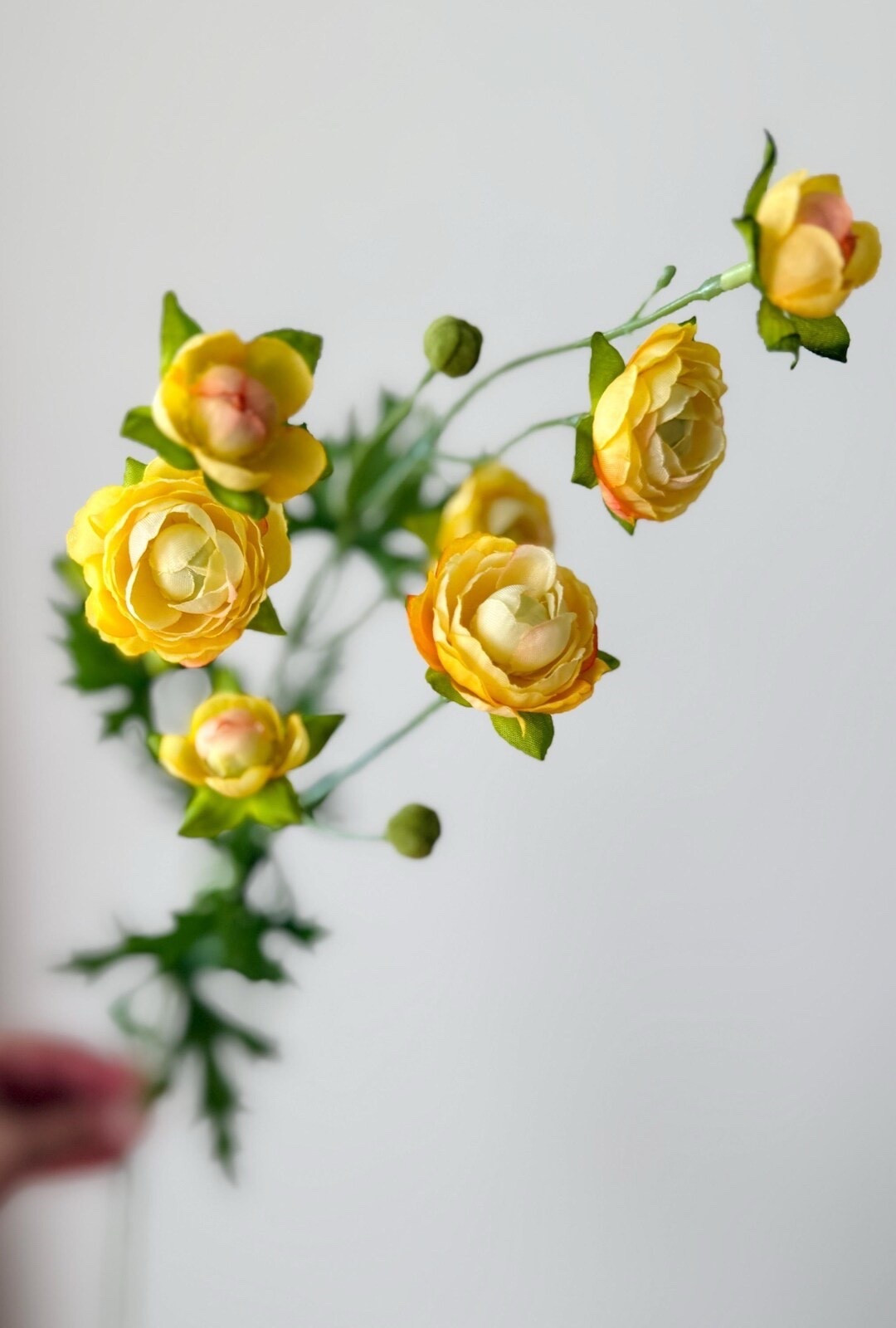 Add a cheerful touch to your floral designs with this soft yellow ranunculus stem from JennysWreathBoutique. Featuring delicate layered petals and realistic greenery, this 22-inch faux stem is perfect for creating spring and summer arrangements, wreaths, wedding bouquets, or simple vase styling. Whether displayed alone or mixed with other blooms, this versatile stem brings effortless warmth and long-lasting beauty to any space.

#LTKHome #LTKStyle #FauxFlorals #Ranunculus #SpringDecor #DIYHomeDecor #FloralDesign #HomeDecorInspo #WeddingDecor #CenterpieceIdeas #FarmhouseDecor #SeasonalDecor #YellowDecor

#LTKHome #LTKSeasonal #LTKWedding