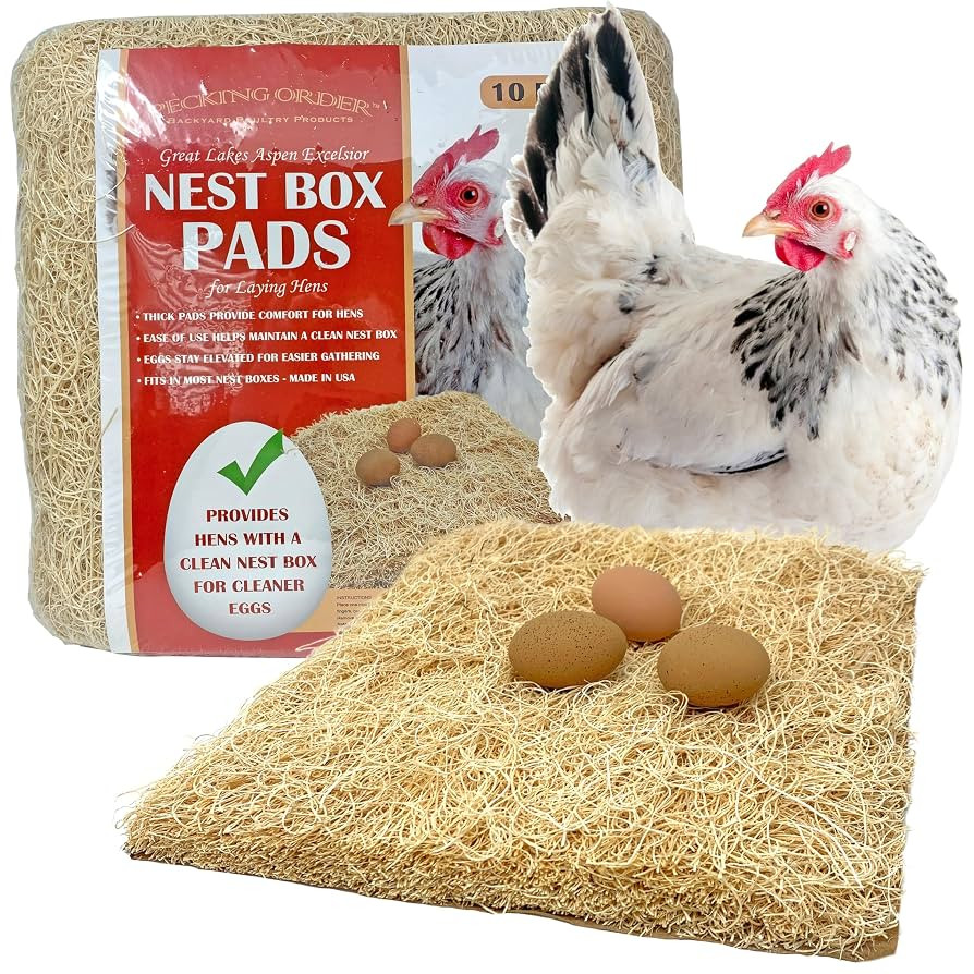 Nest Box Pads for Chicken Nesting Boxes - 13 x 13 Pads Made in USA from Sustainably Sourced Aspen... | Amazon (US)