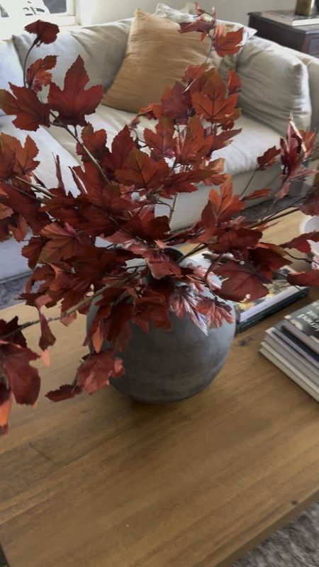The “it” stems of the season! We’re calling it. These are gorgeous and they are so realistic and life like. You get 6 stems for $19! 

#LTKSeasonal #LTKfindsunder50 #LTKhome