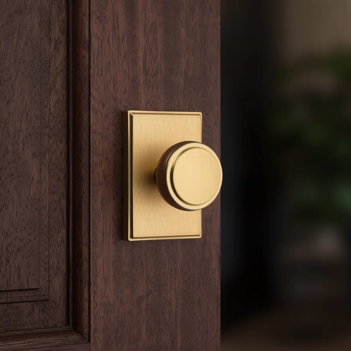 Sora Hall/Closet Knob w/ Rectangular Rose | Wayfair North America