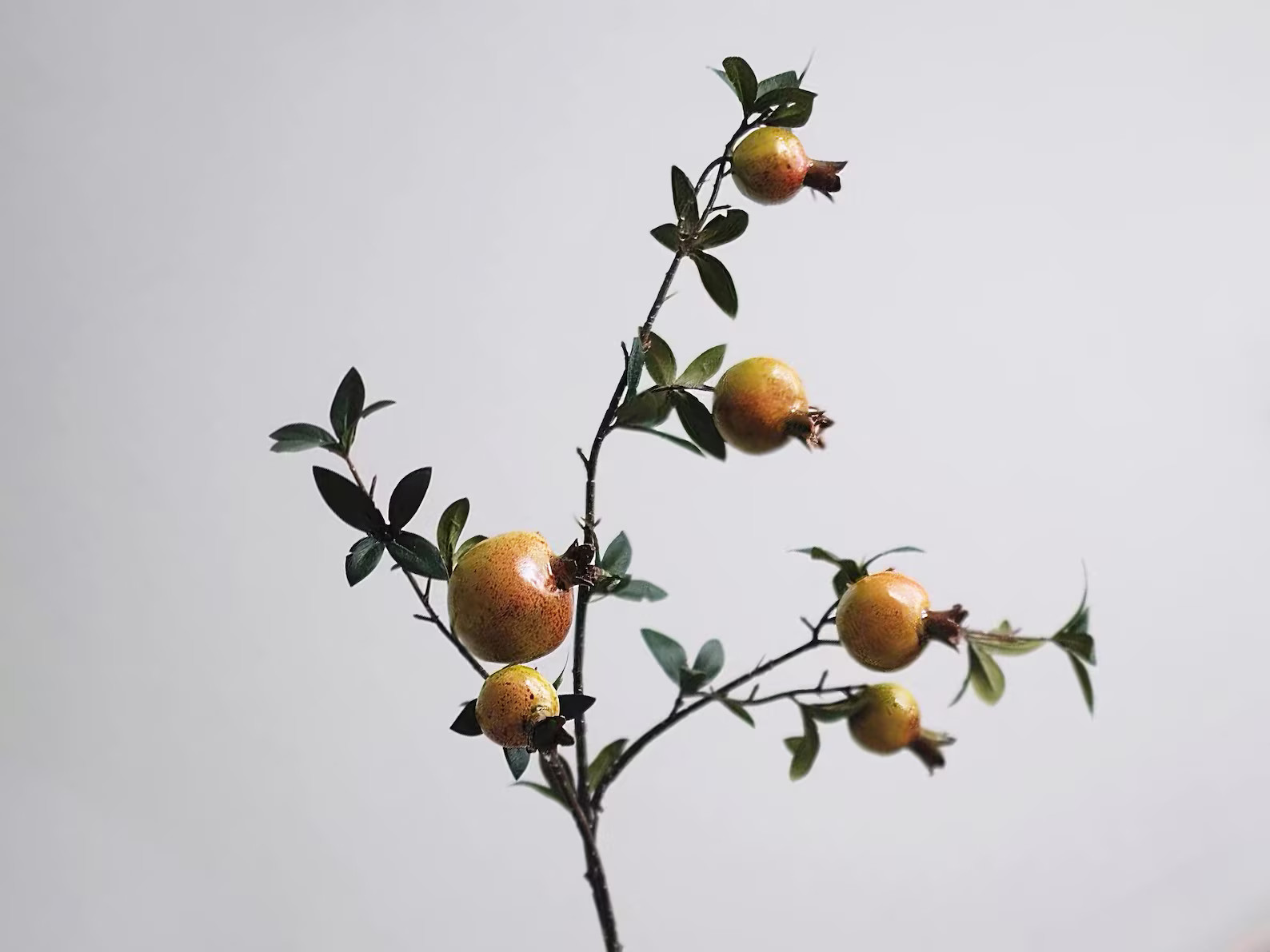Pomegranate Branch Tree Artificia: 31.5" | Faux Fruit Stem | Faux Plants Home Decor | Fall Harves... | Etsy (US)