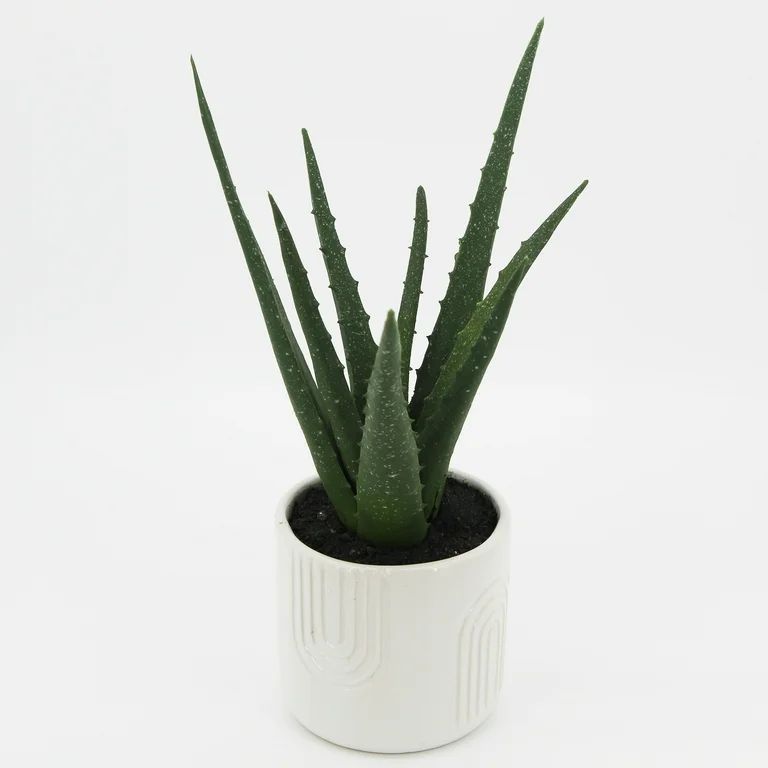 Mainstays Faux Aloe Vera Plant with White Rainbow Planter, 11.25" Height, Green Aloe Vera - Walma... | Walmart (US)