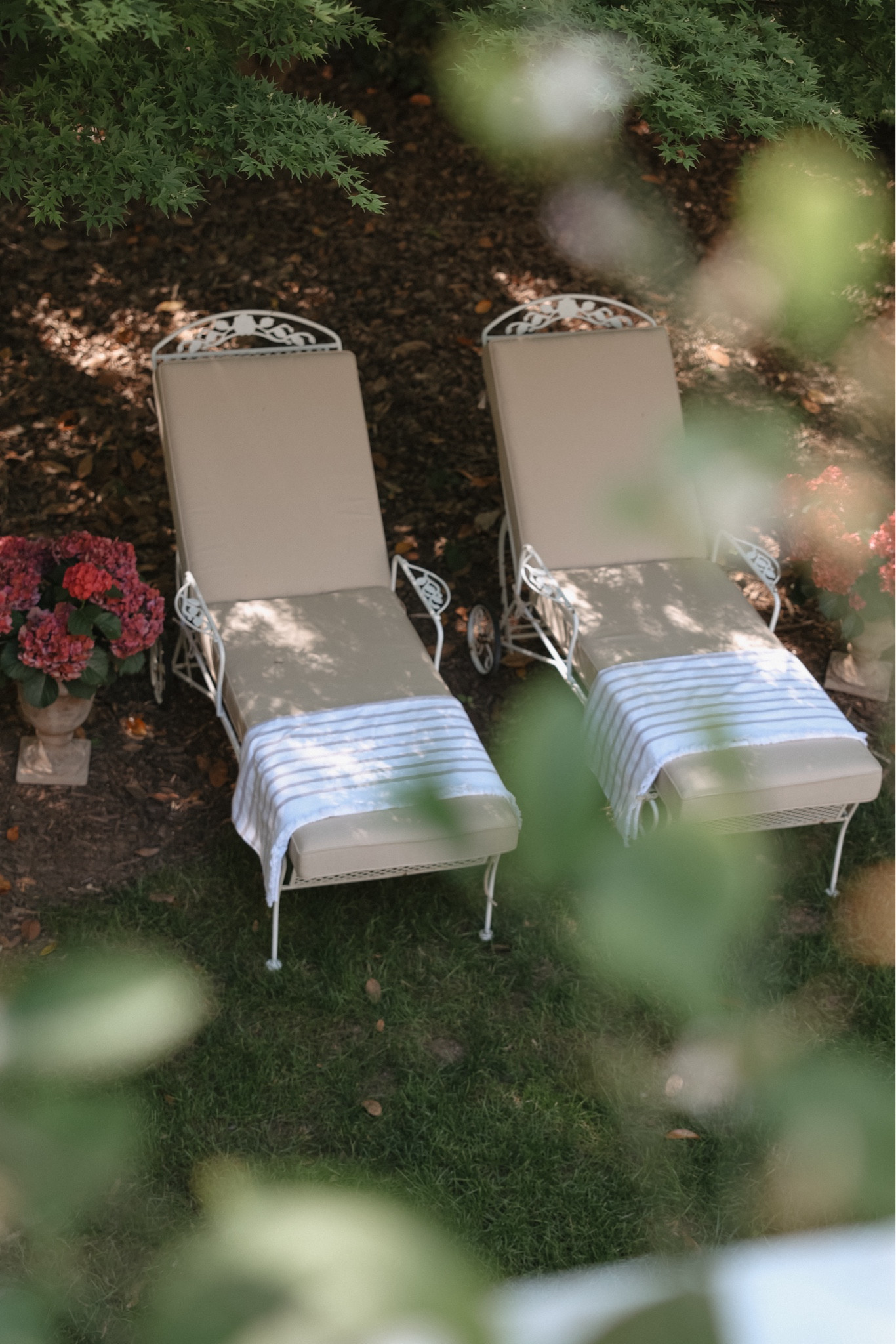 Added a few cushions around our new outdoor space from The Company Store - the Sunbrella performance fabrics are all stain-, fade-, water-, mold- & mildew-resistant and are on sale for Memorial Day Weekend! 

#LTKSaleAlert #LTKHome #LTKSeasonal