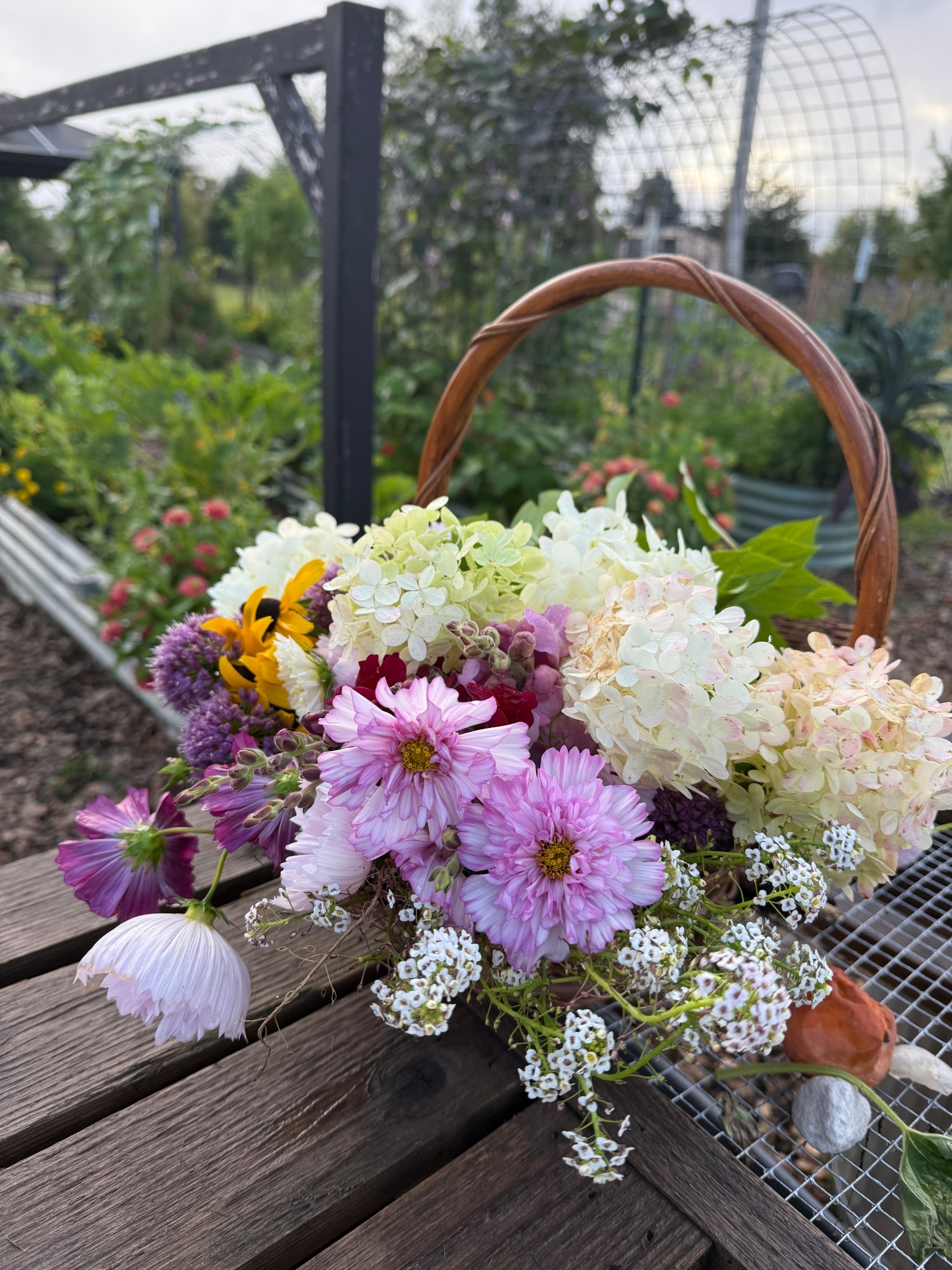 In my cut flower era