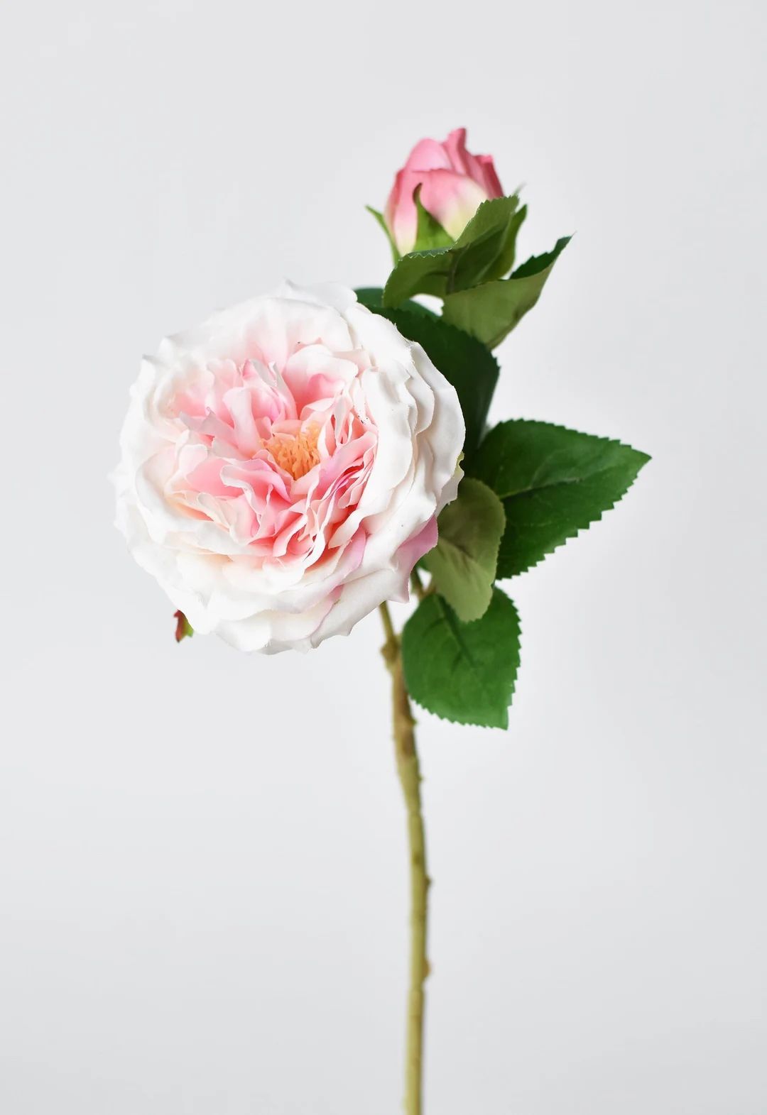 14 Faux Pale Pink Cabbage Rose Stem - Etsy | Etsy (US)