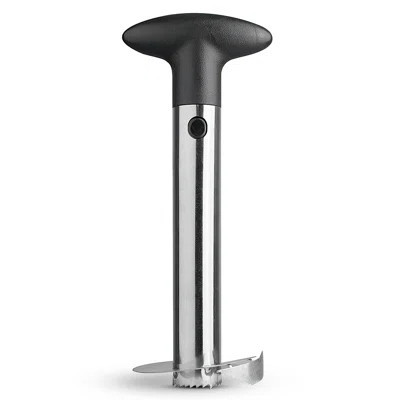 Pineapple Corer | Wayfair North America