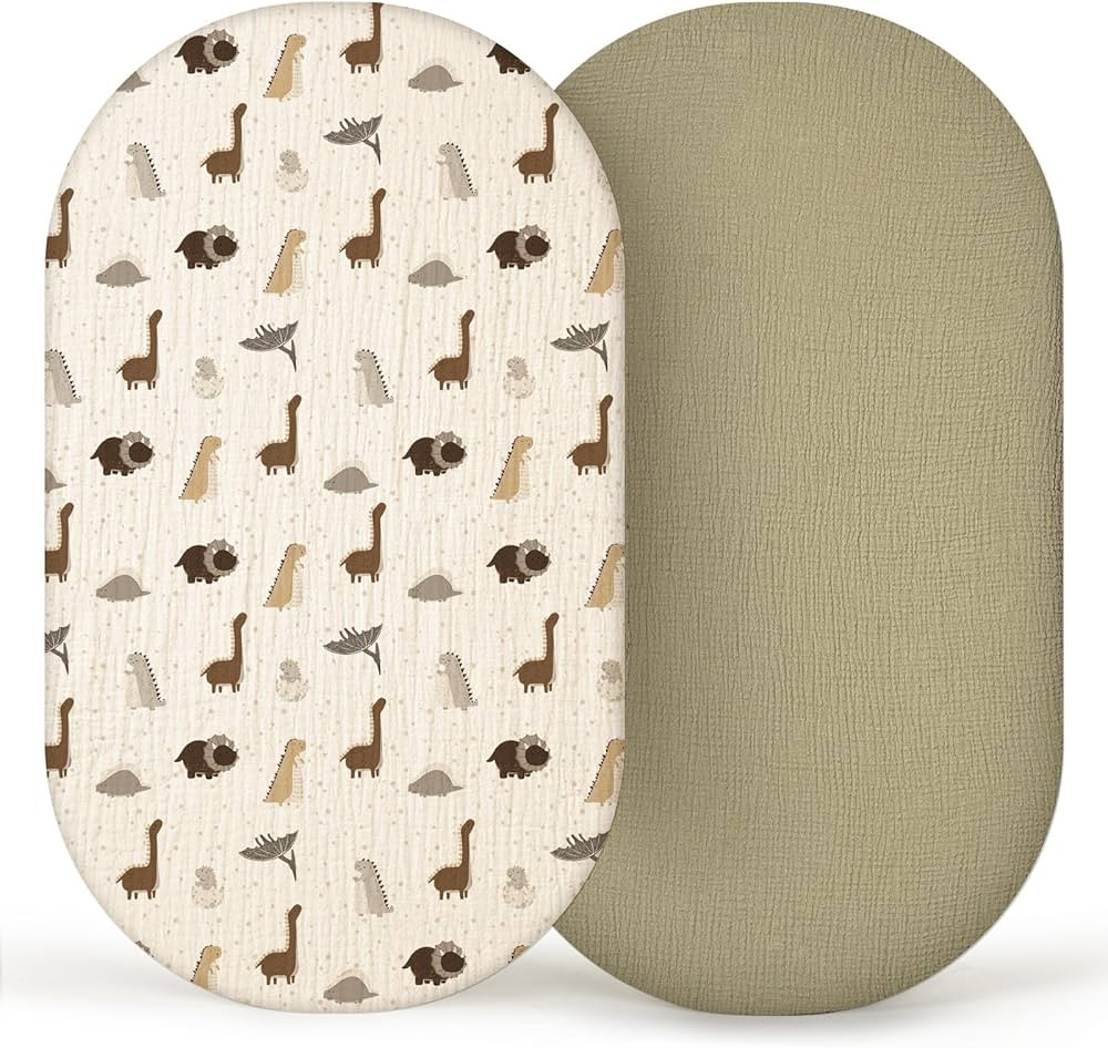 Dinosaures olives | Amazon (CA)