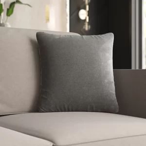 Throw Pillow | Wayfair North America