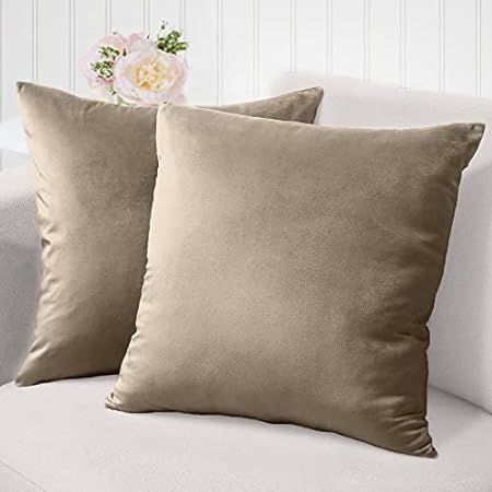 MIULEE Pack of 2, Velvet Soft Solid Decorative Square Throw Pillow Covers Set Cushion Cases Pillowca | Amazon (US)