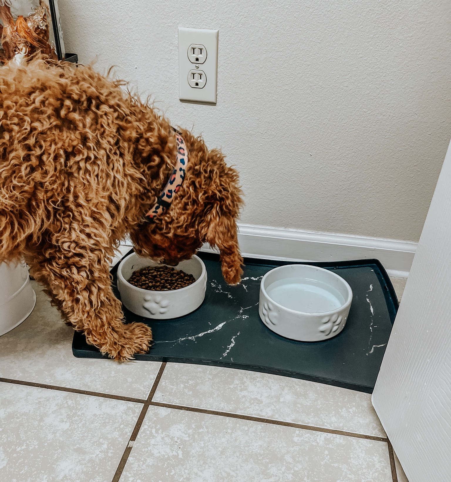 silicone pet bowl mats #LTKpets