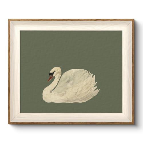 VIYYIEA Framed Wall Art for Living Room, Swan Canvas Prints, Green Home Decor, Animals Painting Picture, Bathroom Wall Decor Gifts for Friends or Family -【Swan Green】-(12L x 10W) | Amazon (US)