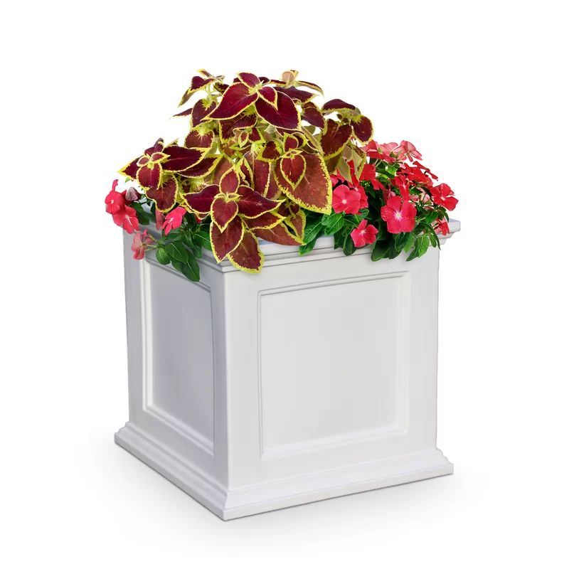 Anastasiya Planter Box | Wayfair North America