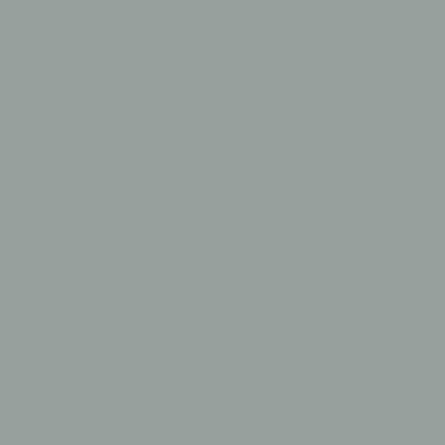 Puritan Gray (HC-164) - Paint Sample | Samplize