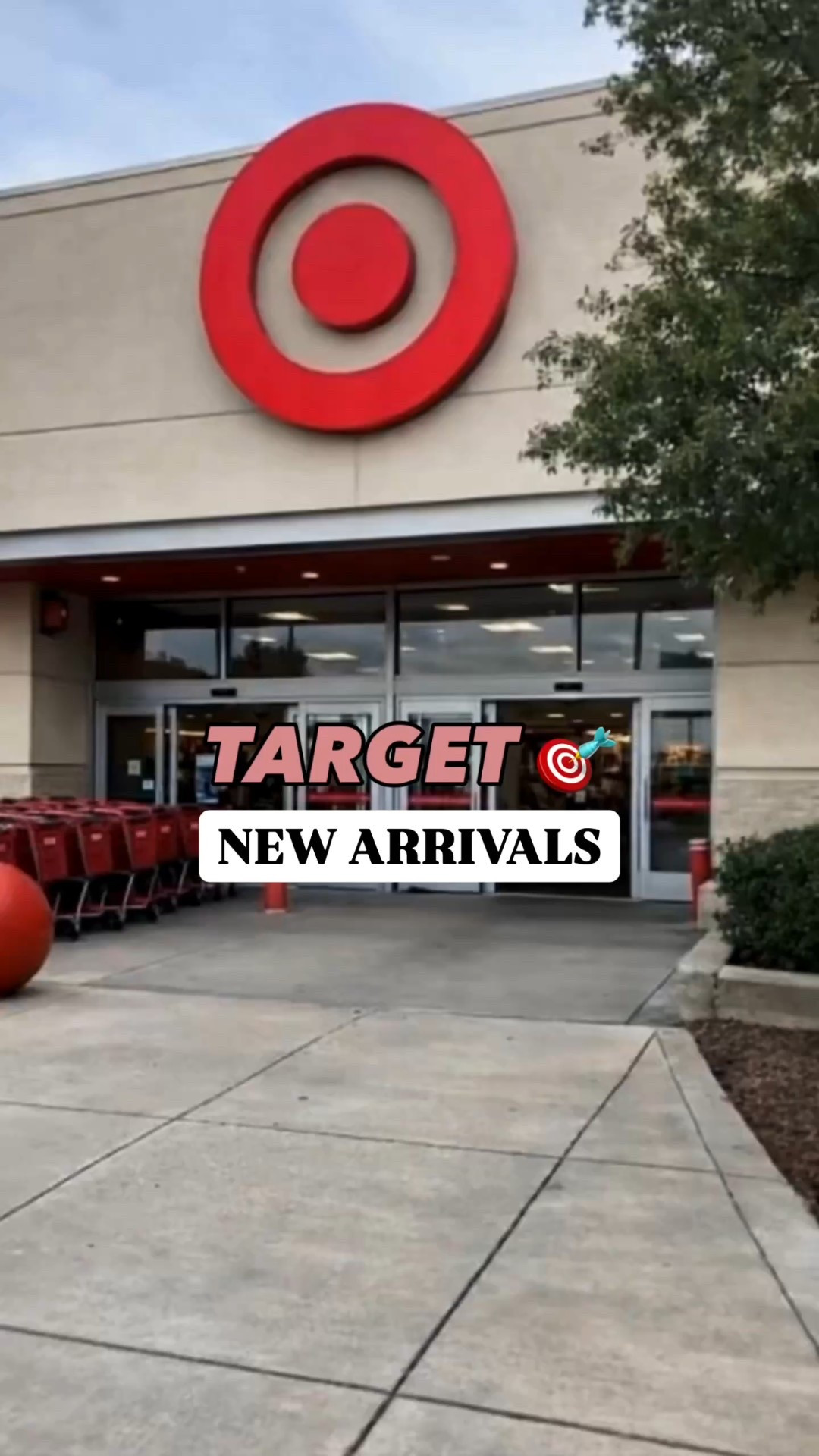 Loving all of Target’s new springtime arrivals + some other great picks we saw! 

Life with Loverly, Loverly grey, Target finds, affordable home decor ideas, spring home refresh inspiration, cute home decor, threshold, hearth and hand

#LTKHome #LTKFindsUnder50 #LTKvlog