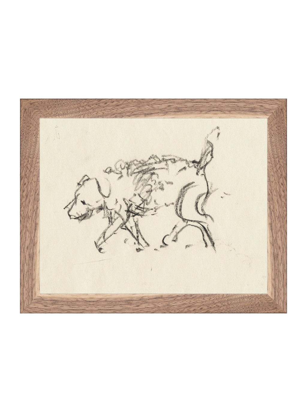 Dog Sketch | House of Jade Home