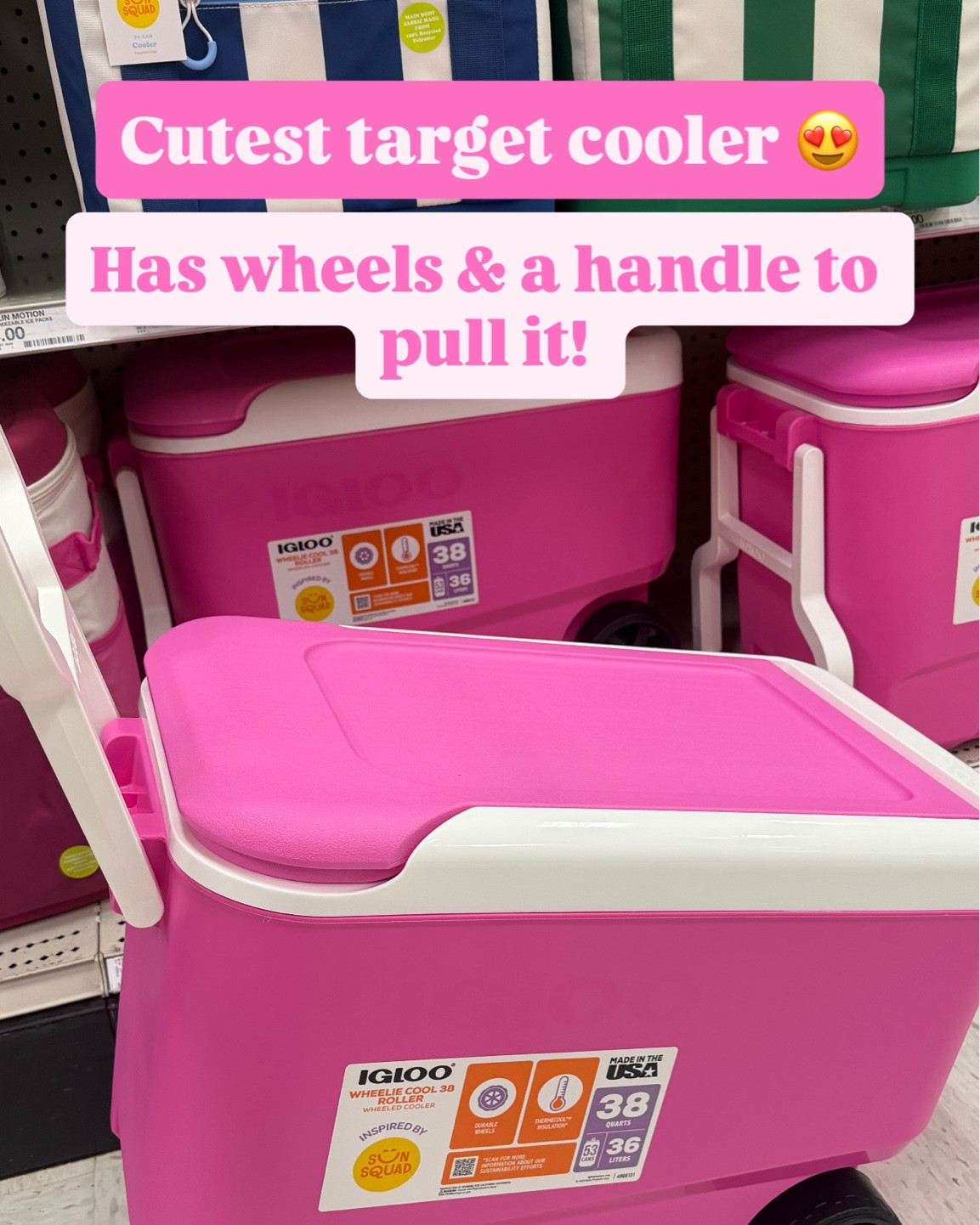 Cutest coolers at target right now!!

#LTKdayinmylife #LTKmomlife #LTKSeasonal