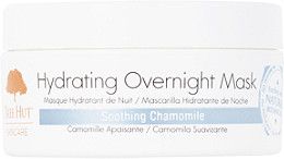 Hydrating Overnight Mask | Ulta