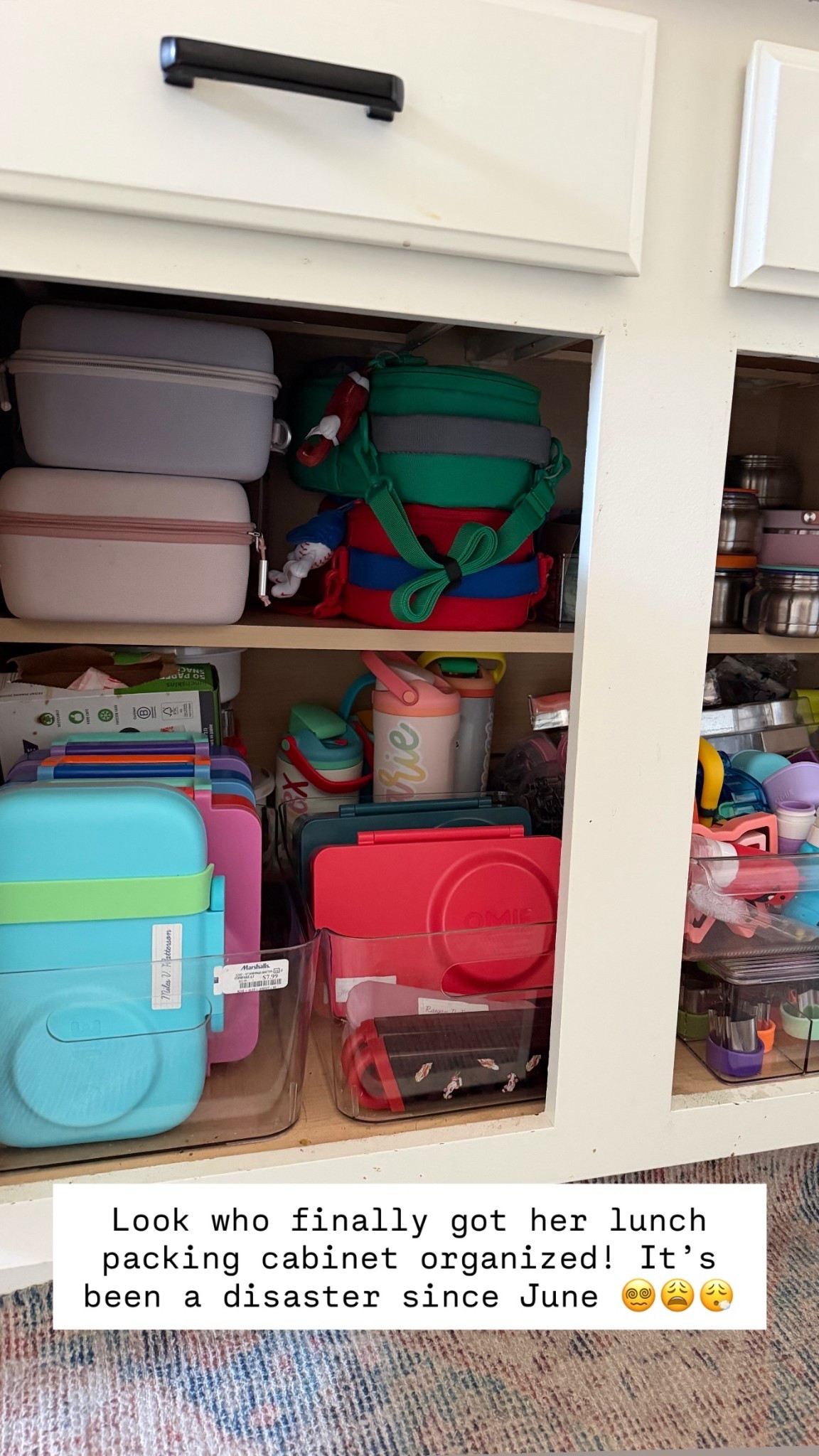 Look who finally got her lunch packing cabinet organized! It’s been a disaster since June 😵‍💫😩😮‍💨