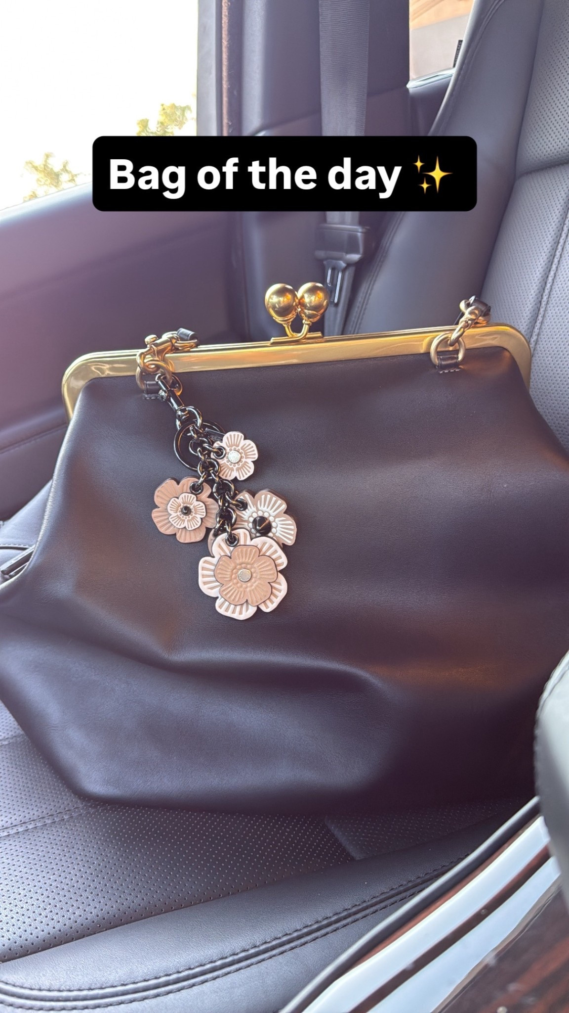 The Coach large Kisslock…such a classic bag 👝

#LTKSeasonal #LTKWorkwear #LTKTravel