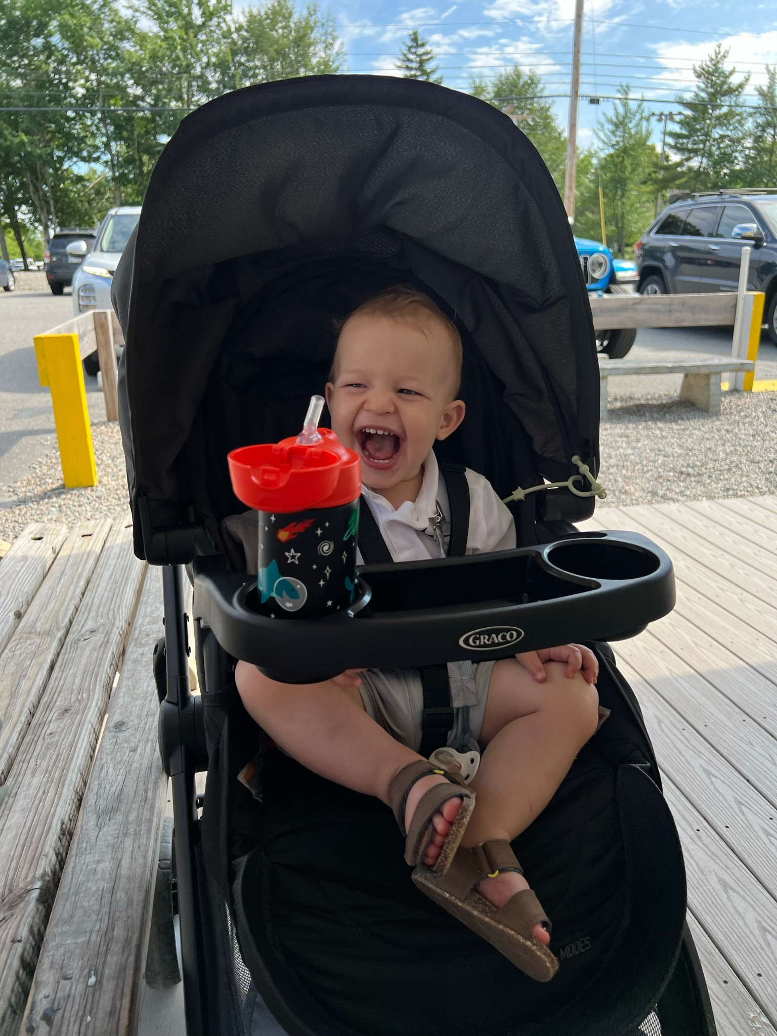 Toddler Necessities

#LTKKids #LTKFamily #LTKTravel